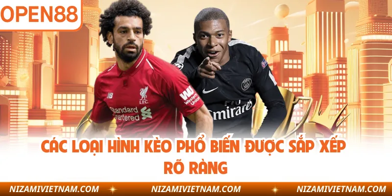 Các loại hình kèo phổ biến được sắp xếp rõ ràng