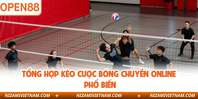 Tổng hợp kèo cược bóng chuyền online phổ biến