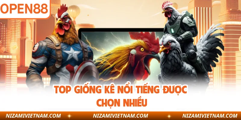 Top giống kê nổi tiếng được chọn nhiều